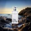 imageHybrid ampamp Company Bravo Hero Black Pour Homme For Men Eau De Toilette Vaporisateur Natural Spray 34 Fl OzChevalier