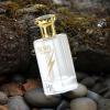 imageHybrid ampamp Company Bravo Hero Black Pour Homme For Men Eau De Toilette Vaporisateur Natural Spray 34 Fl OzSoul Journey