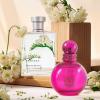 imageHybrid ampamp Company Women 3 Pcs Fragrance for Women Eau De Parfum Natural Spray ScentFANTASTIC Fantasy