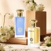 imageHybrid ampamp Company Women 3 Pcs Fragrance for Women Eau De Parfum Natural Spray ScentSEXY GIRL BLUE SEXY GIRL POUR FEMME