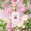 imageHybrid ampamp Company Women Amazing Glod Pour Femme Eau De Parfum Vaporisateur Natural Spray 34 Fl OzAmazing Purple
