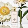 imageHybrid ampamp Company Women Amazing Glod Pour Femme Eau De Parfum Vaporisateur Natural Spray 34 Fl OzBlazing Rose