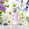 imageHybrid ampamp Company Women Amazing Glod Pour Femme Eau De Parfum Vaporisateur Natural Spray 34 Fl OzFairy Party