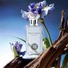 imageHybrid ampamp Company Women Amazing Glod Pour Femme Eau De Parfum Vaporisateur Natural Spray 34 Fl OzHello Holiday
