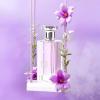 imageHybrid ampamp Company Women Amazing Glod Pour Femme Eau De Parfum Vaporisateur Natural Spray 34 Fl OzLa Bella Viva Happiness