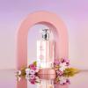 imageHybrid ampamp Company Women Amazing Glod Pour Femme Eau De Parfum Vaporisateur Natural Spray 34 Fl OzLuckest