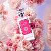 imageHybrid ampamp Company Women Amazing Glod Pour Femme Eau De Parfum Vaporisateur Natural Spray 34 Fl OzPink Summer