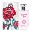 Blooming Rose
