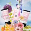 imageHybrid ampamp Company Women Rose Pink 3 Pcs Gift Set50mlPerfumeampamp100mlMistampamp80mlShower GelDelilah Gift Set