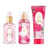 imageHybrid ampamp Company Women Rose Pink 3 Pcs Gift Set50mlPerfumeampamp100mlMistampamp80mlShower GelRose Pink