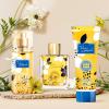 imageHybrid ampamp Company Women Rose Pink 3 Pcs Gift Set50mlPerfumeampamp100mlMistampamp80mlShower GelViva Luck CG