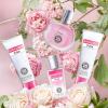 imageHybrid ampamp Company Jadincoir 4Piece Gift Set for Women 50ml Perfume Body Lotion Mist Shower GelChoice Chilanel