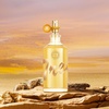 image:imageHybrid amp Company 717 Super Star Stay Wild For Men Eau De Toilette Vaporisateur Natural Spray 34 Fl OzTREND